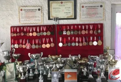 Trofeos de Karate
