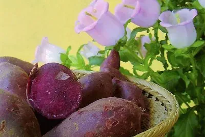 flores jigsaw puzzle