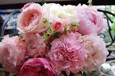 flores jigsaw puzzle