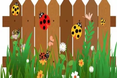 å¤§è‡ªç„¶