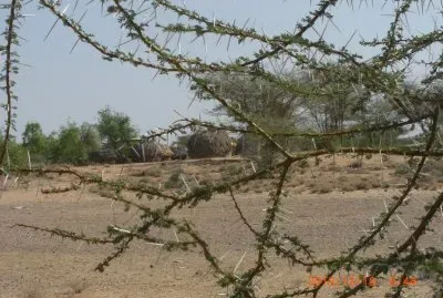 KALAPATA jigsaw puzzle