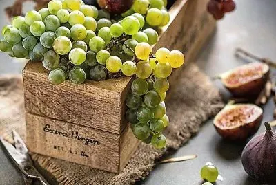 frutas jigsaw puzzle