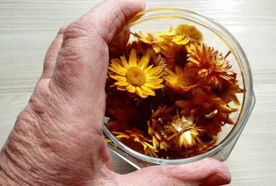 Imagem jigsaw puzzle