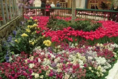 Imagem jigsaw puzzle