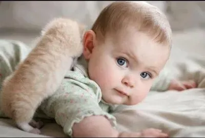 con gatito