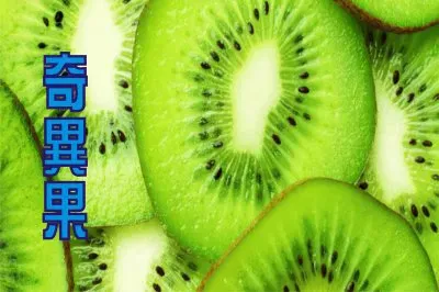 å¥‡ç•°æžœ jigsaw puzzle