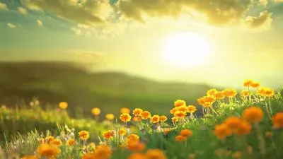 flores jigsaw puzzle