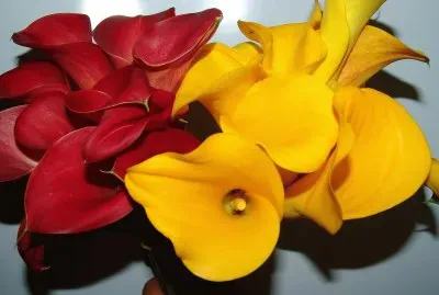 flores jigsaw puzzle