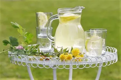 פאזל של flores