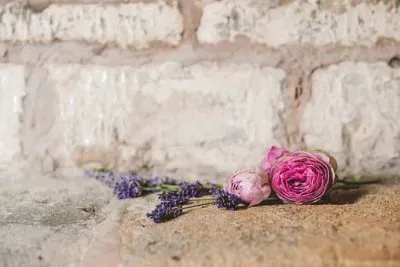 Imagem jigsaw puzzle