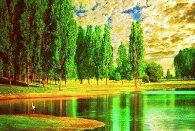 Lago