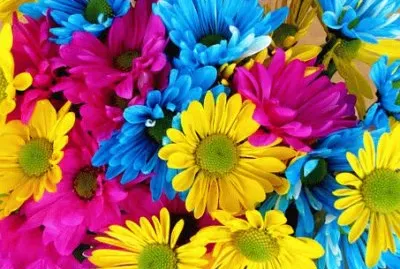 Imagem jigsaw puzzle
