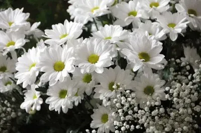 Imagem jigsaw puzzle