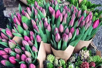 flores jigsaw puzzle