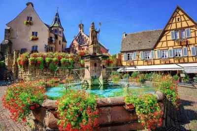 natural jigsaw puzzle
