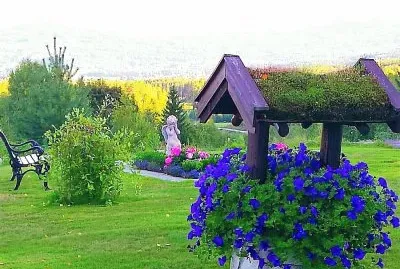 flores