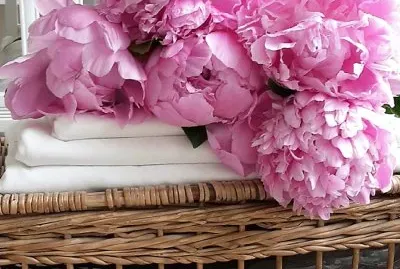 flores jigsaw puzzle