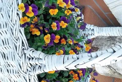 flores jigsaw puzzle