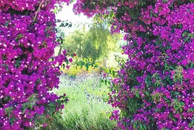 flores jigsaw puzzle