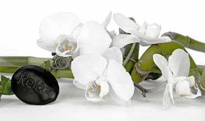 Imagem jigsaw puzzle