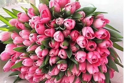 flores jigsaw puzzle