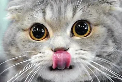 182