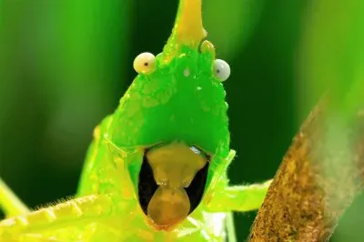 aliens! jigsaw puzzle