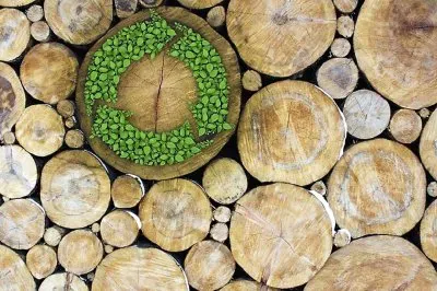 natural jigsaw puzzle