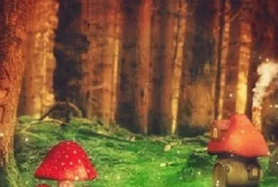 Imagem jigsaw puzzle