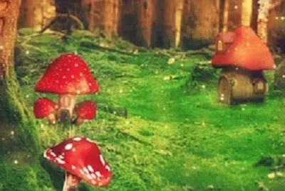 Imagem jigsaw puzzle