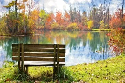 Imagem jigsaw puzzle