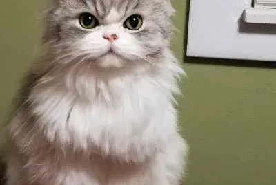 general
