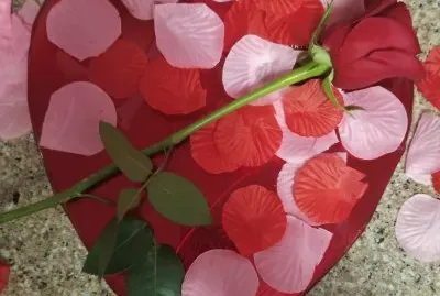 general jigsaw puzzle