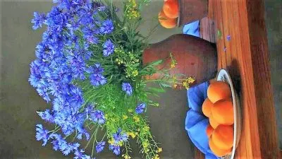 flores jigsaw puzzle