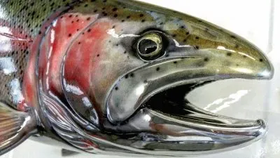 Imagem jigsaw puzzle