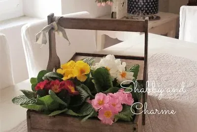 flores