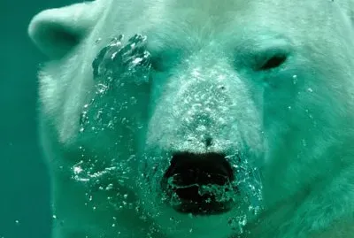 Imagem jigsaw puzzle