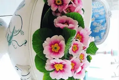 flores