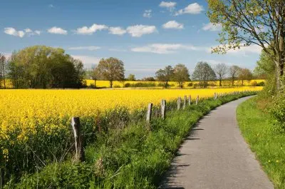 Summer in Schleswig-Holstein