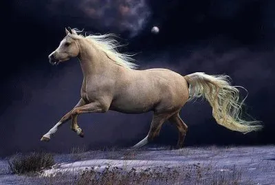 Imagem jigsaw puzzle