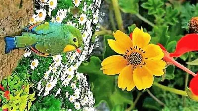 natural jigsaw puzzle