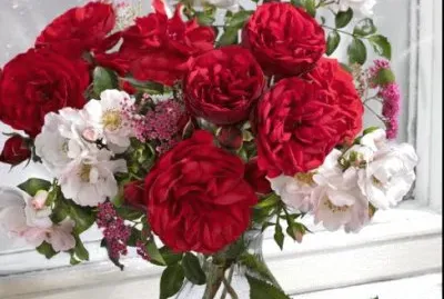 fiori
