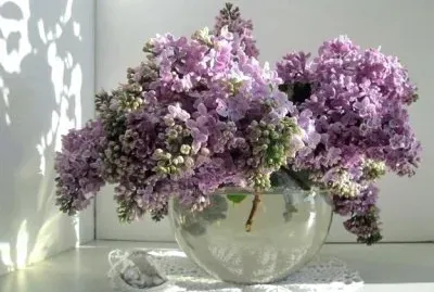 LilÃ¡s jigsaw puzzle