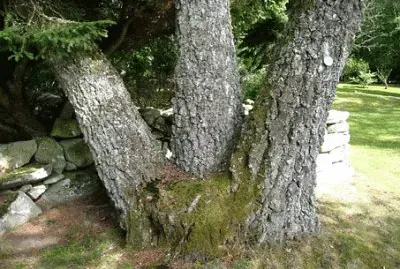 OK