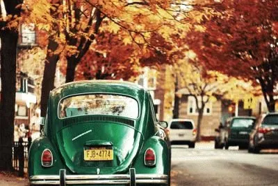 fusca jigsaw puzzle