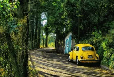 fusca jigsaw puzzle