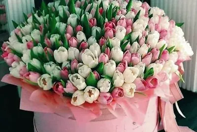 flores