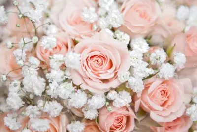 Rosas