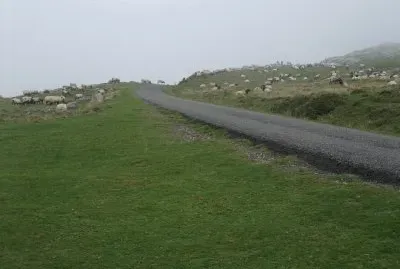 Route NapolÃ©on