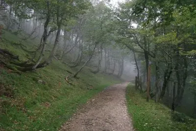 Route NapolÃ©on